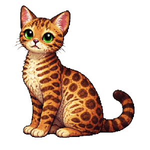 bengal cat