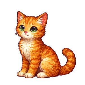 teen cat